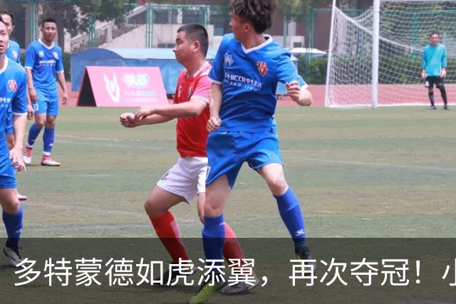多特蒙德如虎添翼，再次夺冠！小贝林厄姆助力胜利之路！